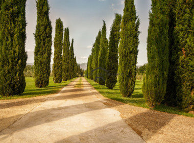 Prestigiosa villa con piscina e terreno